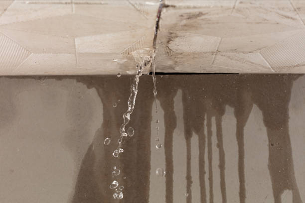 Professional Water Damage Repair technician working in Atascadero, CA